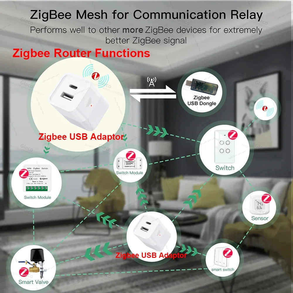 Zigbee Micro USB Type-C Adaptor Switch 2Gang 5V Mini USB Power Adaptor Charge Plug For Smart Life Tuya Home Automation Scene Z2M