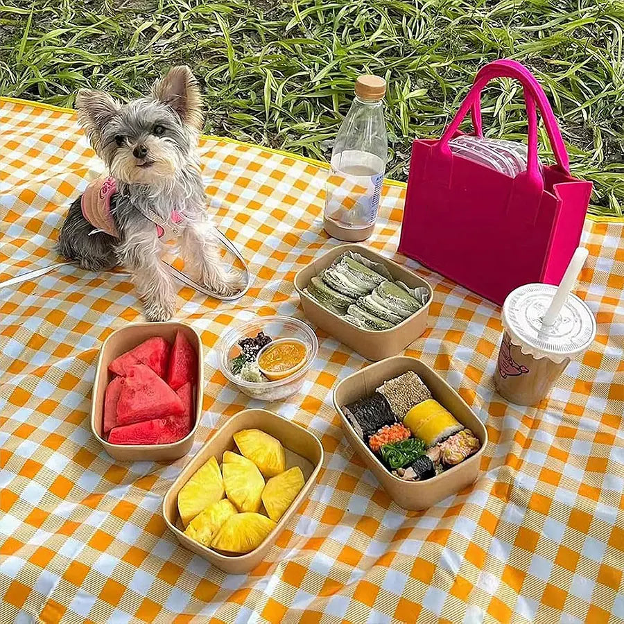 Portable Waterproof Picnic Blanket Comfortable All Weather Outdoor Mat for Beach Park Concert Festival Camping and Lounge